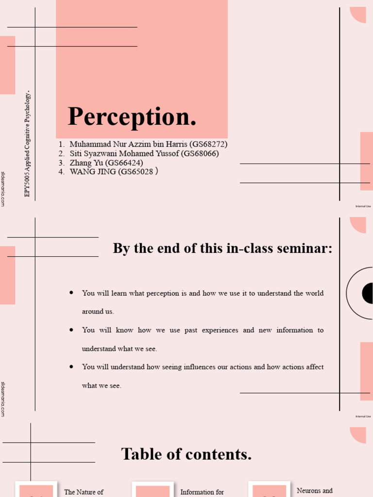 In Class Seminar - Perception (Group 1) Azzim | PDF | Perception ...
