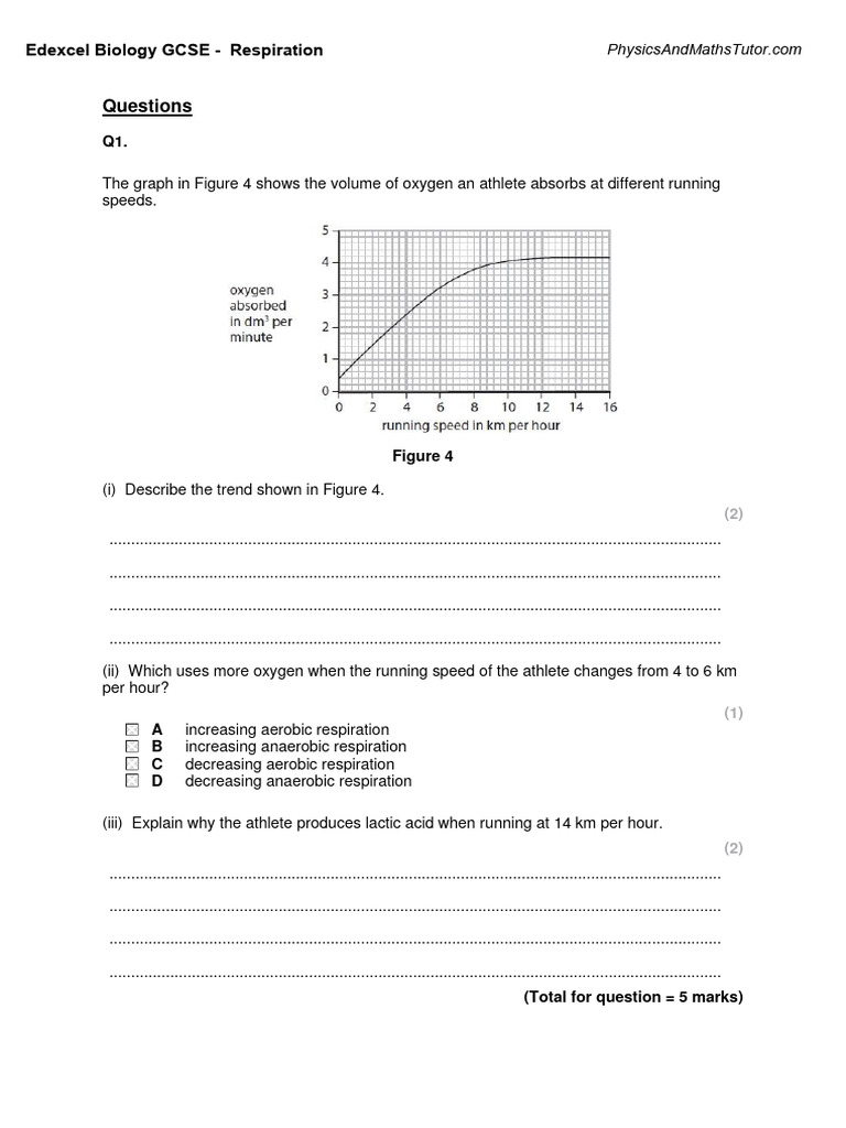 GCSE Biology: Respiration Questions | PDF | Respiratory System | Lung
