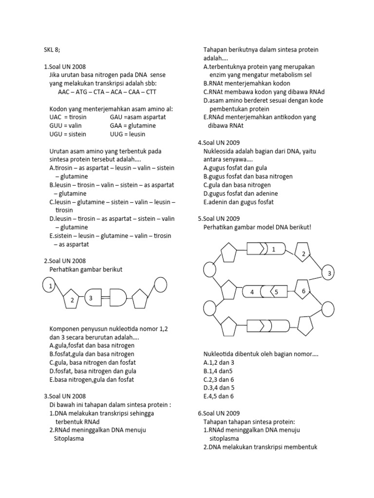 Soal UN Biologi: Sintesis Protein dan Genetika | PDF