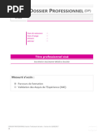 Dossier Professionnel : Guide Complet | PDF