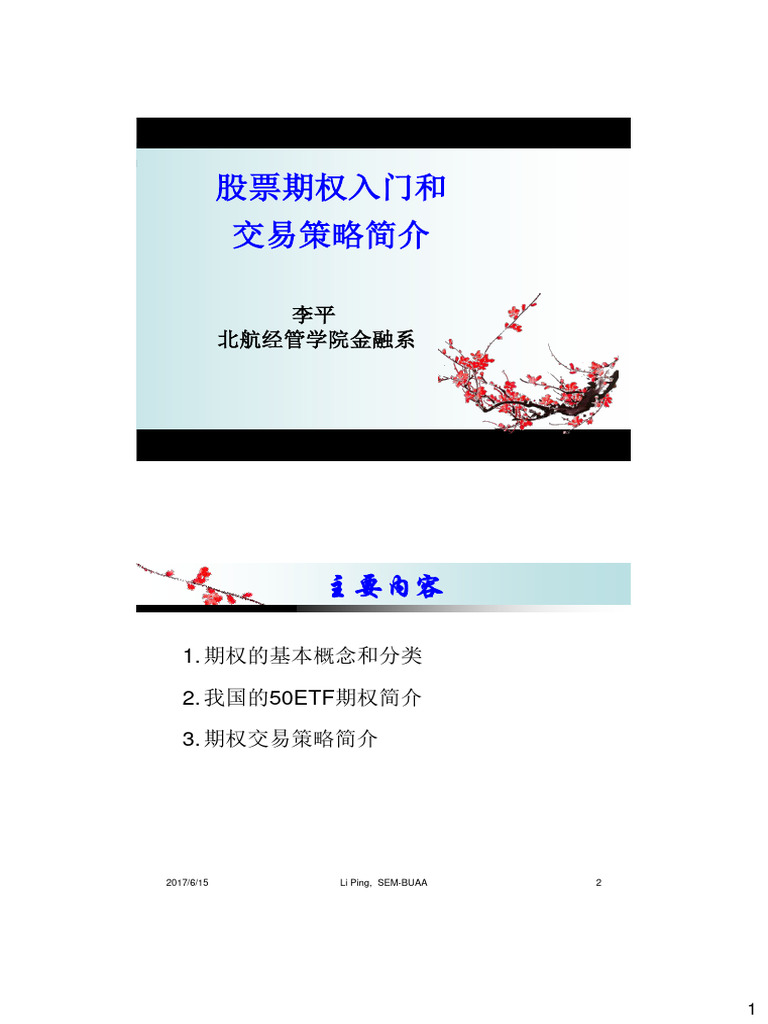 股票期权入门和交易策略简介| PDF