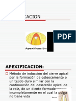 APEXIFICACION