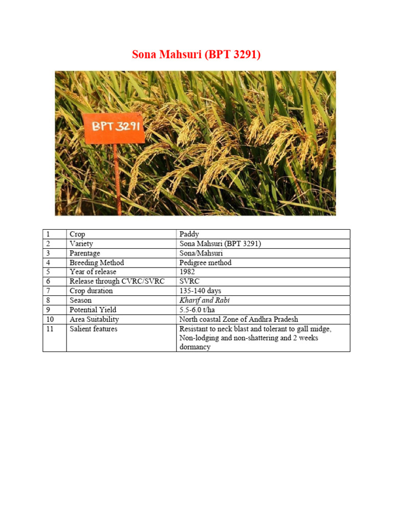 Paddy Pdf Plant Breeding Rice