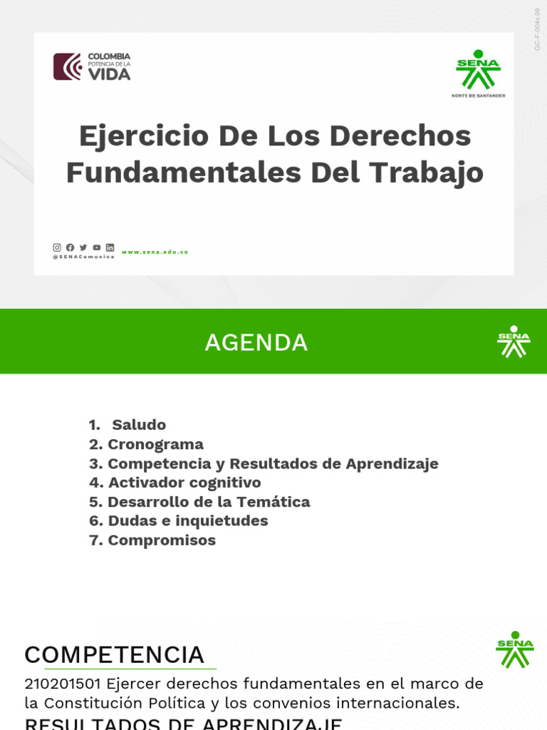 Derechos Fundamentales en el Trabajo | PDF | Derechos humanos | Derecho ...