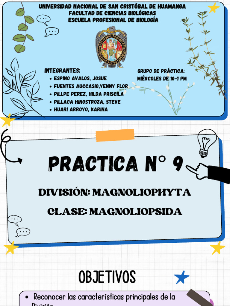 INFORME 9 DIVISIÓN MAGNOLIOPHYTA (1) | Descargar gratis PDF | Ramas de ...
