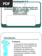 Apresentacao TCC Lene