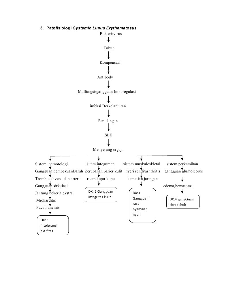 Patofisiologi Systemic Lupus Erythematosus