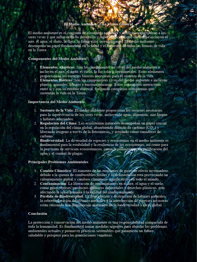 Importancia y Problemas del Medio Ambiente | PDF | Entorno natural ...