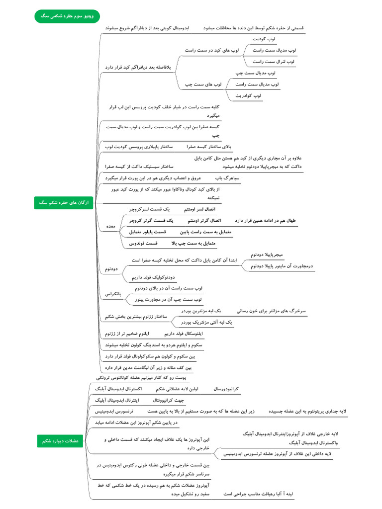 abdominal-practical-anatomy-pdf