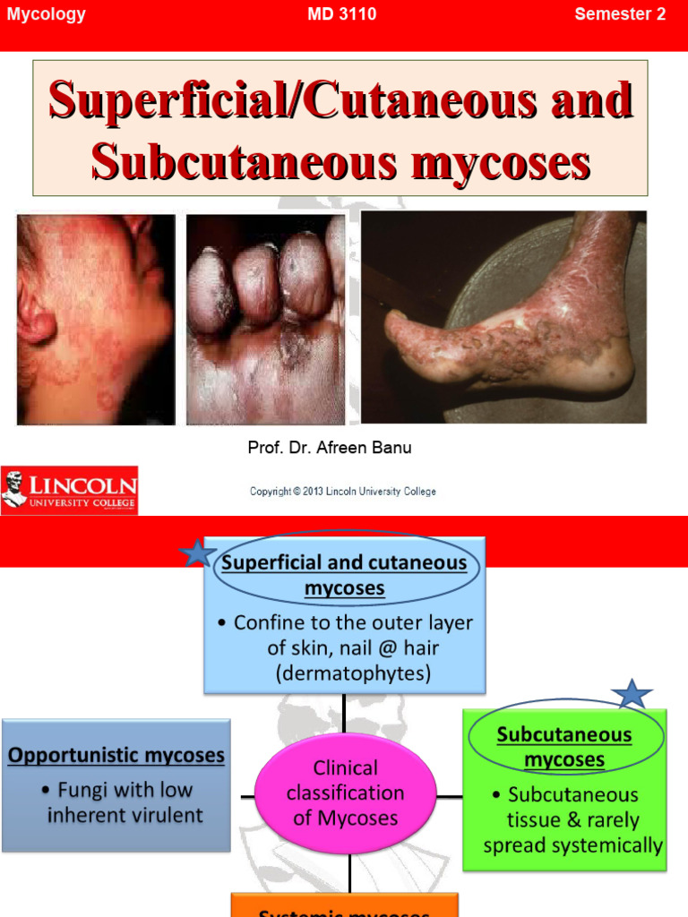Cutaneous And Subcutaneous