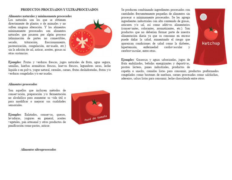 Productos Procesados y Ultraprocesados Texto Ayuda | PDF | Alimentos ...
