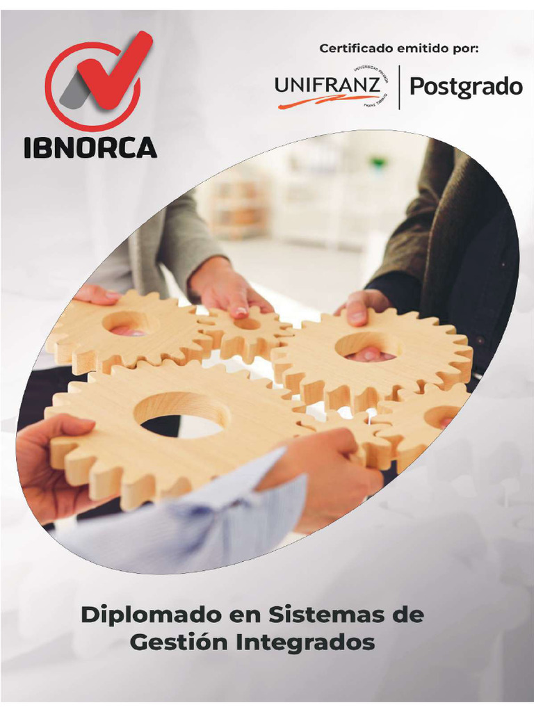 Sistemas De Gestion Integrados Diplomado Pdf
