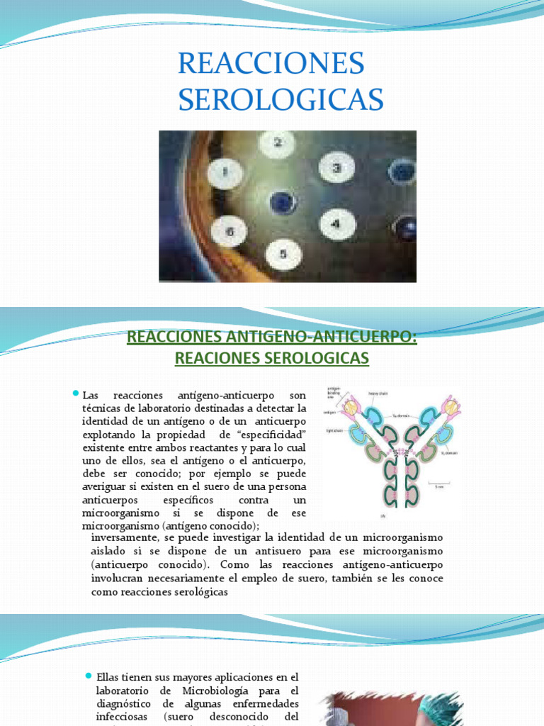 Pruebas Serologicas | PDF | Anticuerpo | Inmunofluorescencia