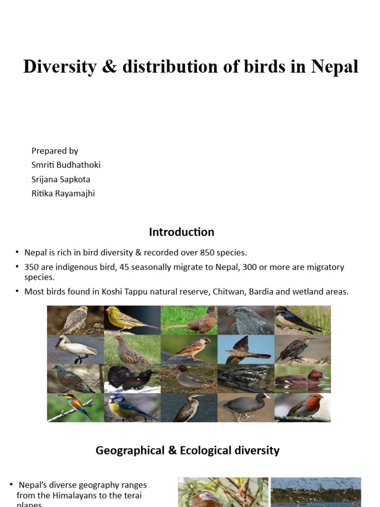 Diversity & Distribution of Birds in Nepal | PDF