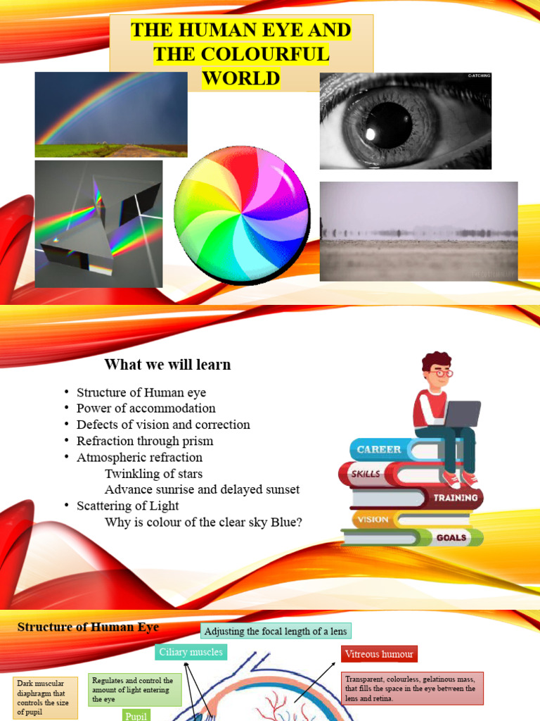 The Human Eye and Colourful World | PDF | Atmosphere Of Earth | Eye