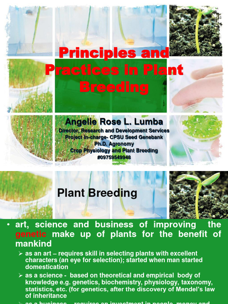 Principles of Plant Breeding Practices | PDF | Plant Breeding | Genetics