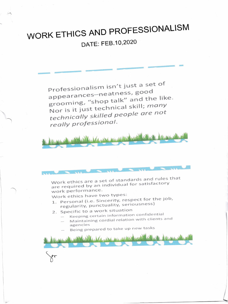 Work Ethics and Professionalism Guide | PDF