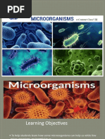 Notes Of Ch 2 Microorganisms Friend And Foe Class 8th Science Pdf