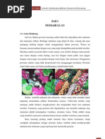 Download Makalah Pembbahan Pewarna by Pipih Latipah SN74243779 doc pdf