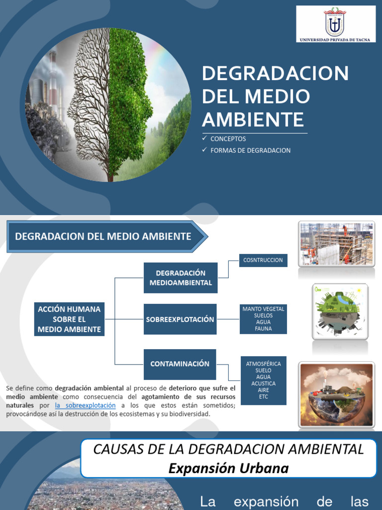 Sesion 2 - Degradacion Del Medio Ambiente | PDF | Degradación ambiental ...