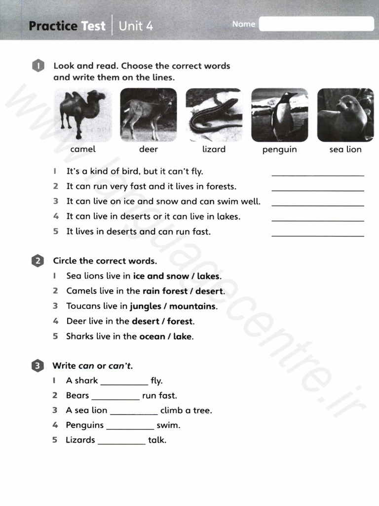 Big English 3 Test Unit 4 | PDF