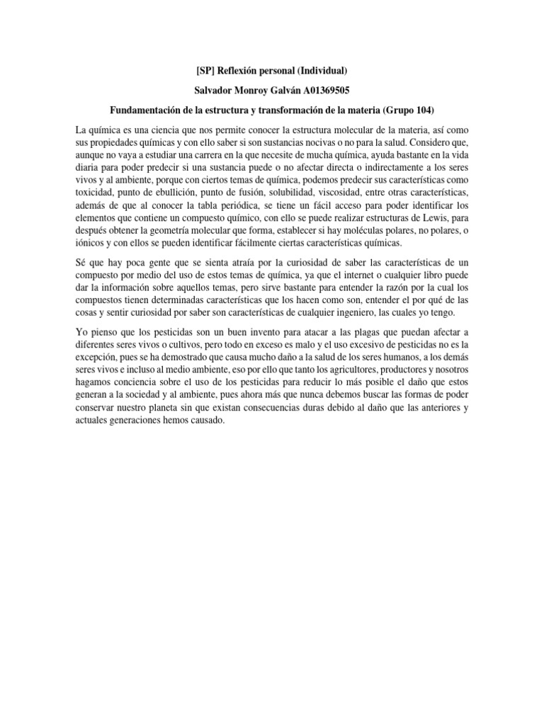 (SP) Reflexión Personal (Individual) | PDF