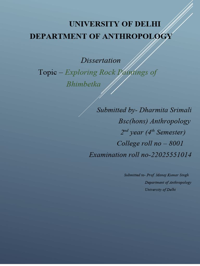 fieldwork report PDF Rock Art Stone Age