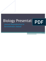 Biology Presentation