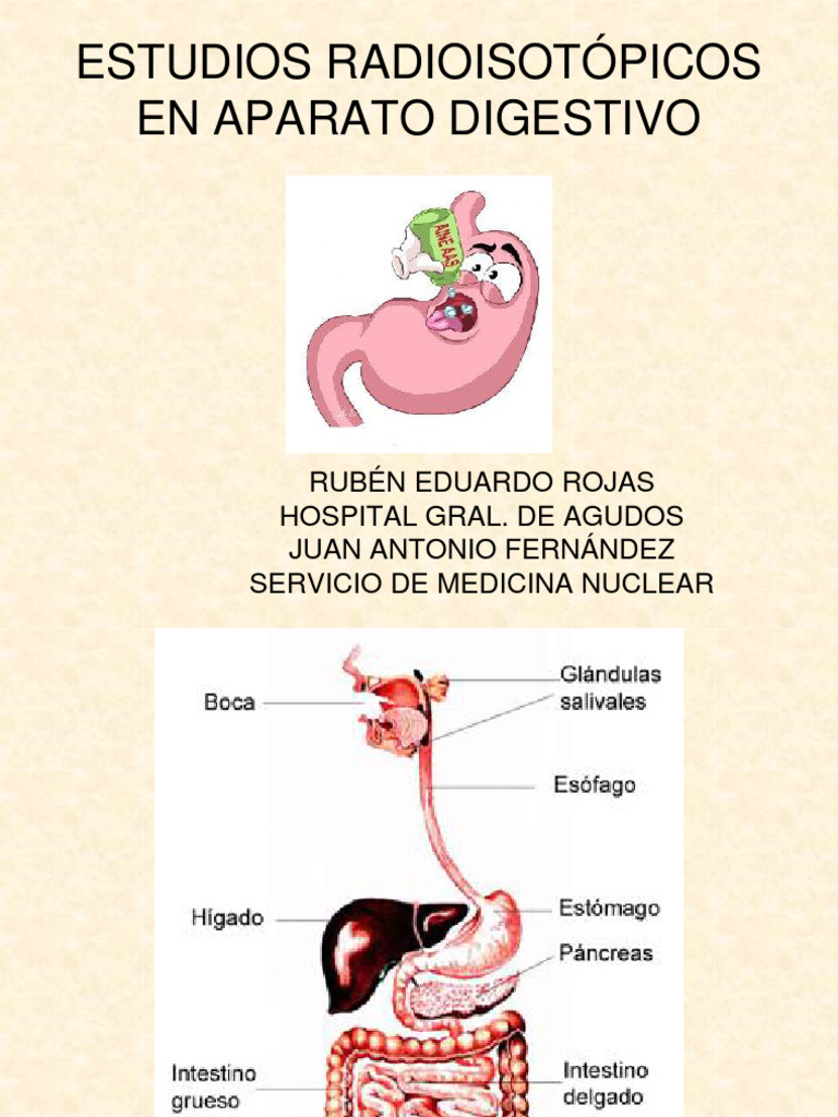 Anatomía Y Fisiología Del Aparato Digestivo 2024 Pdf Esófago