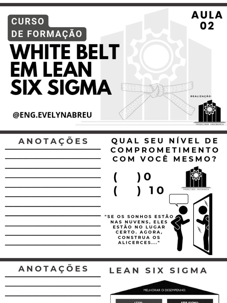 Apostila 2 White Belt Em Lean Six Sigma | PDF | Seis Sigma