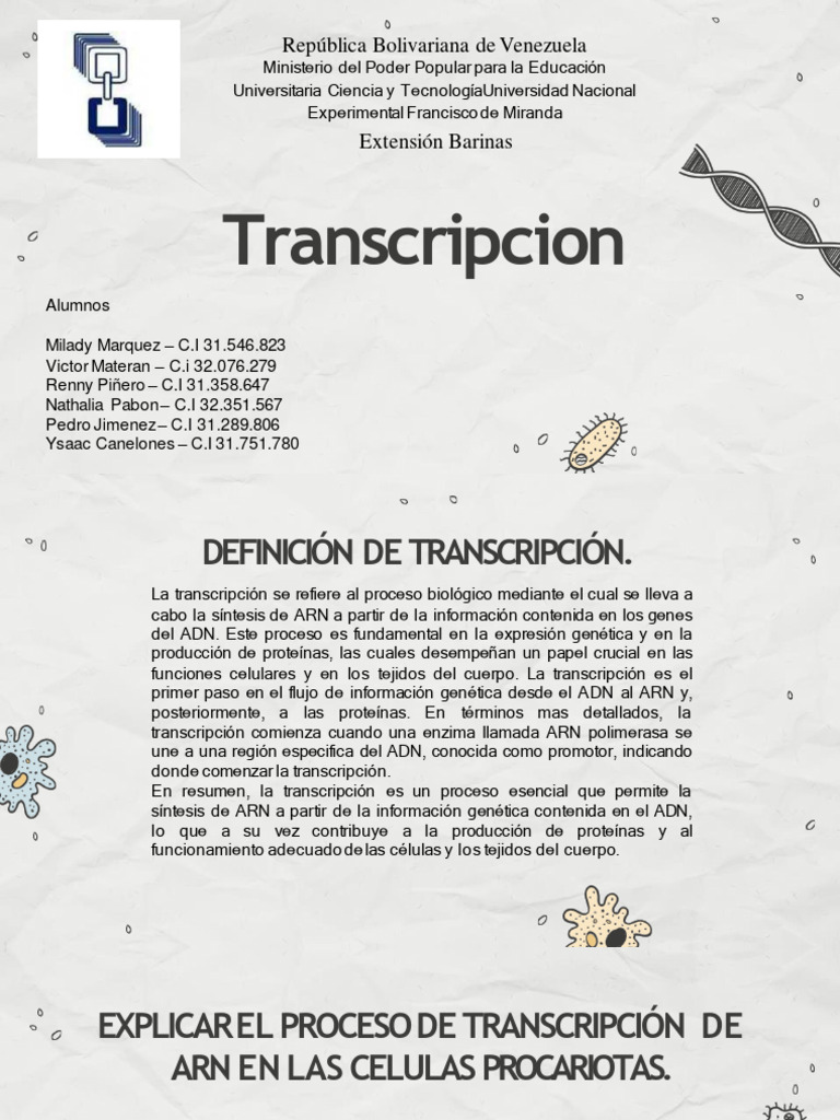Transcripcion BV | PDF | Rna | Ribosoma