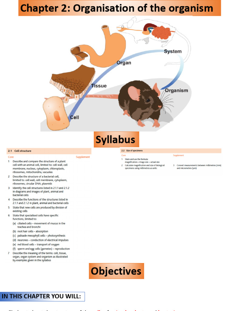 Chapter 2 Organisation Of The Organism Pdf Cell Biology Microscopy