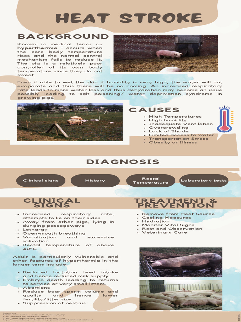 Heat Stroke Santos | Download Free PDF | Hyperthermia | Clinical Medicine