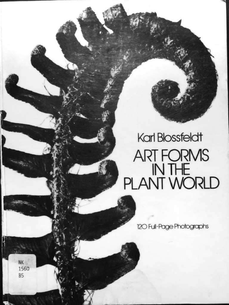 art-forms-in-the-plant-world-karl-blossfeldt-z-library-pdf