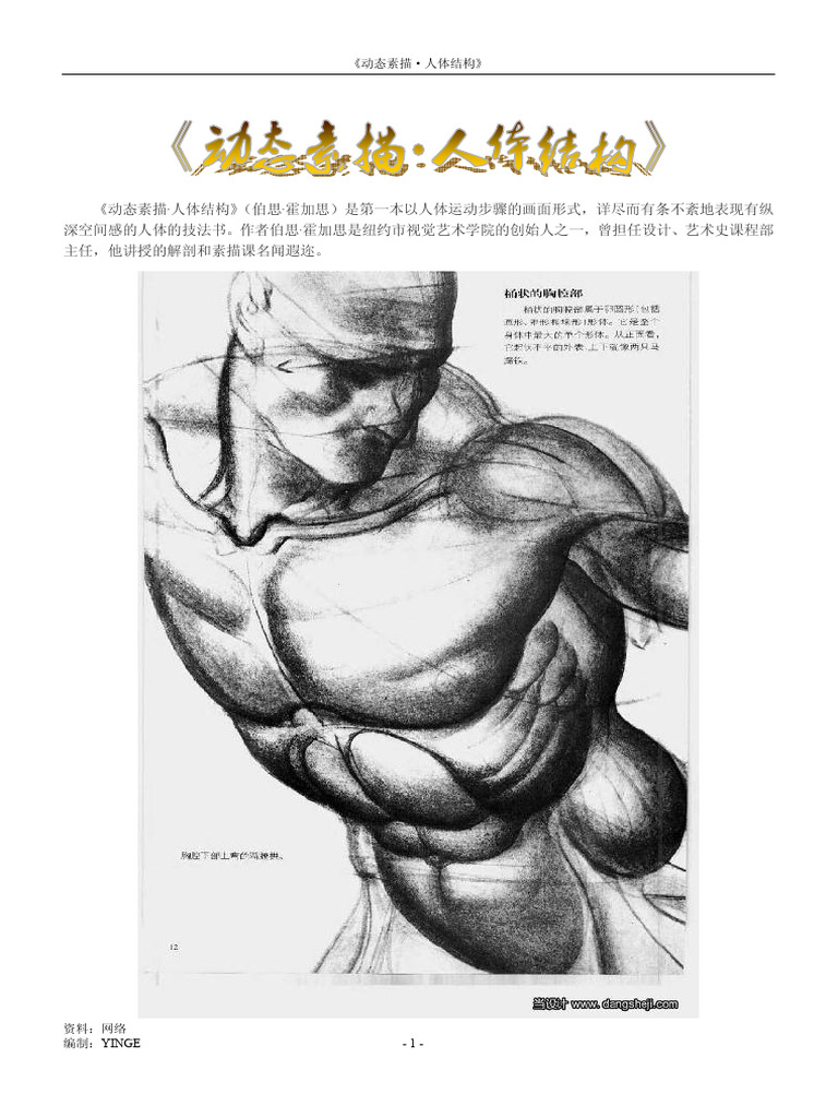 动态素描手部结构手部造型手绘技法艺用全集实用人体素描速写人物