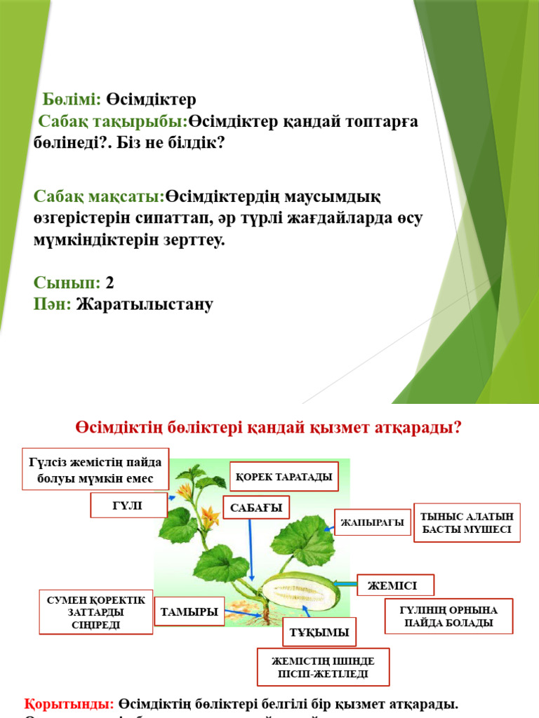 Пісіп жетіледі