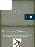 OS ANELÍDEOS