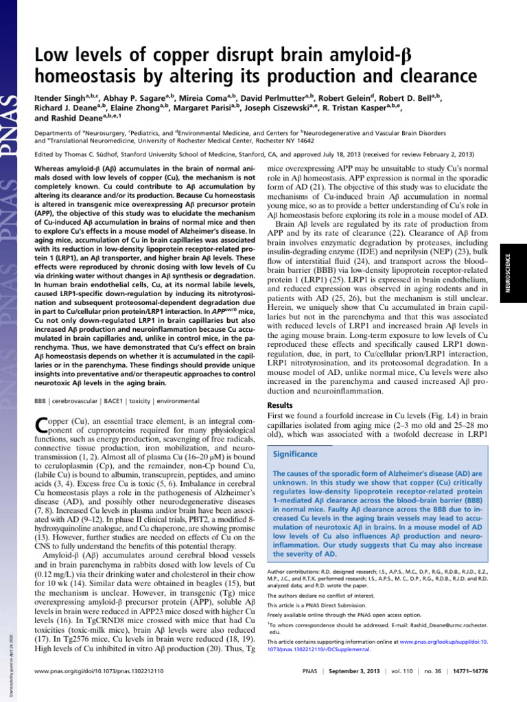 Copper's Role in Brain Amyloid-β Accumulation | PDF | Amyloid Beta ...
