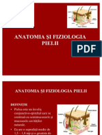 Anatomia Si Fiziologia Pielii