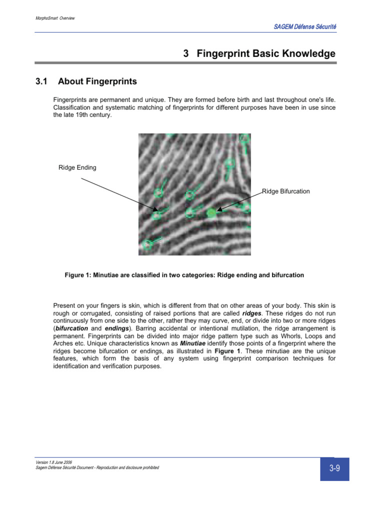 Fingerprint Knowledge Download Free Pdf Fingerprint Biometrics