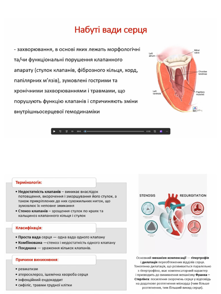 Вади серця | PDF