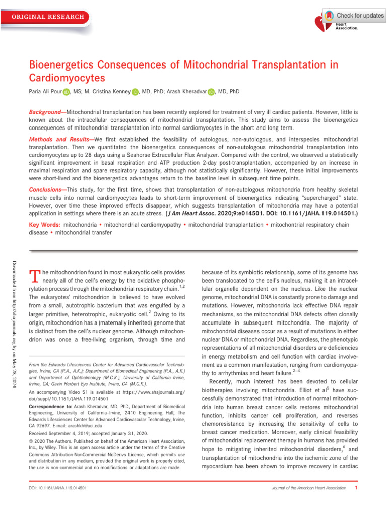 Mitochondrial Transplantation Effects | PDF | Mitochondrion | Cardiac ...