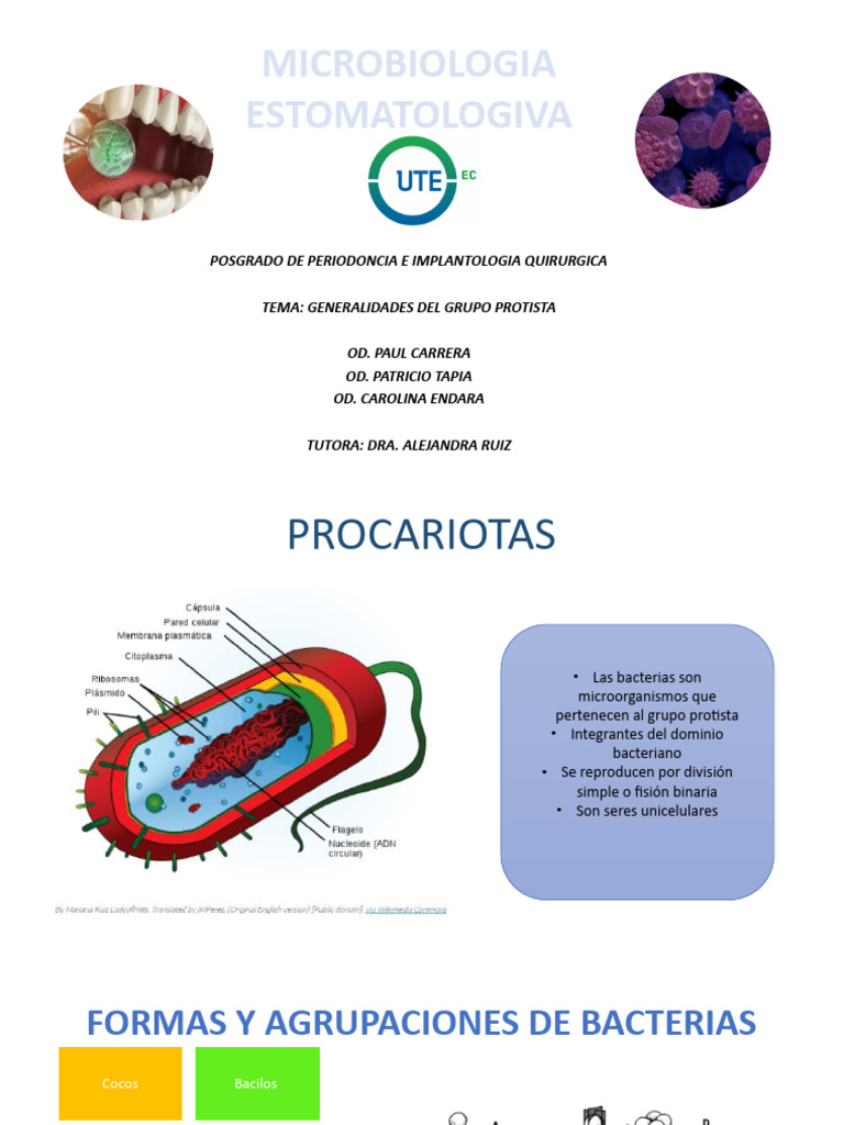 Procariotas Microbilogia | PDF | Las bacterias | Biología Celular)