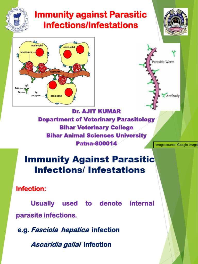 Immunity Against Parasitic Infections or Infestations | PDF | Immune ...