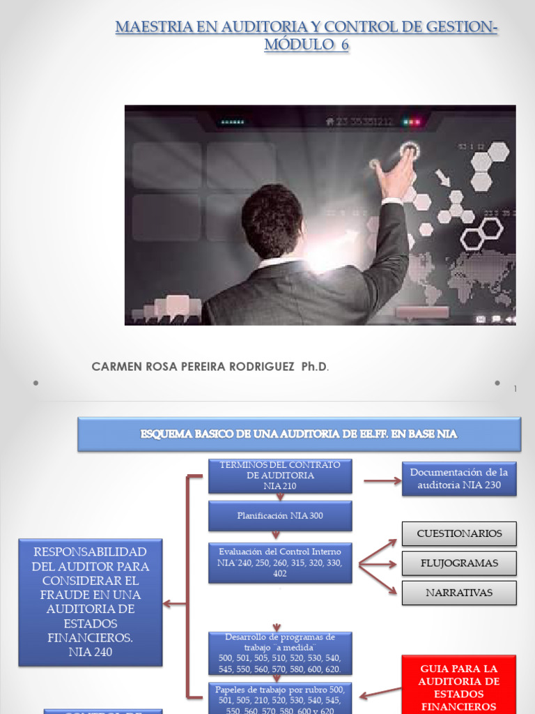 Esquema del proceso de auditoria | Descargar gratis PDF | Auditoría ...