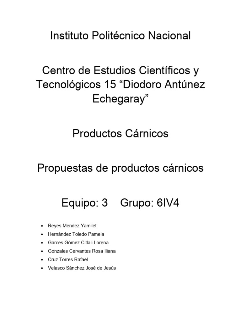 propuesta-de-hamburguesa-pdf-carne-hamburguesas