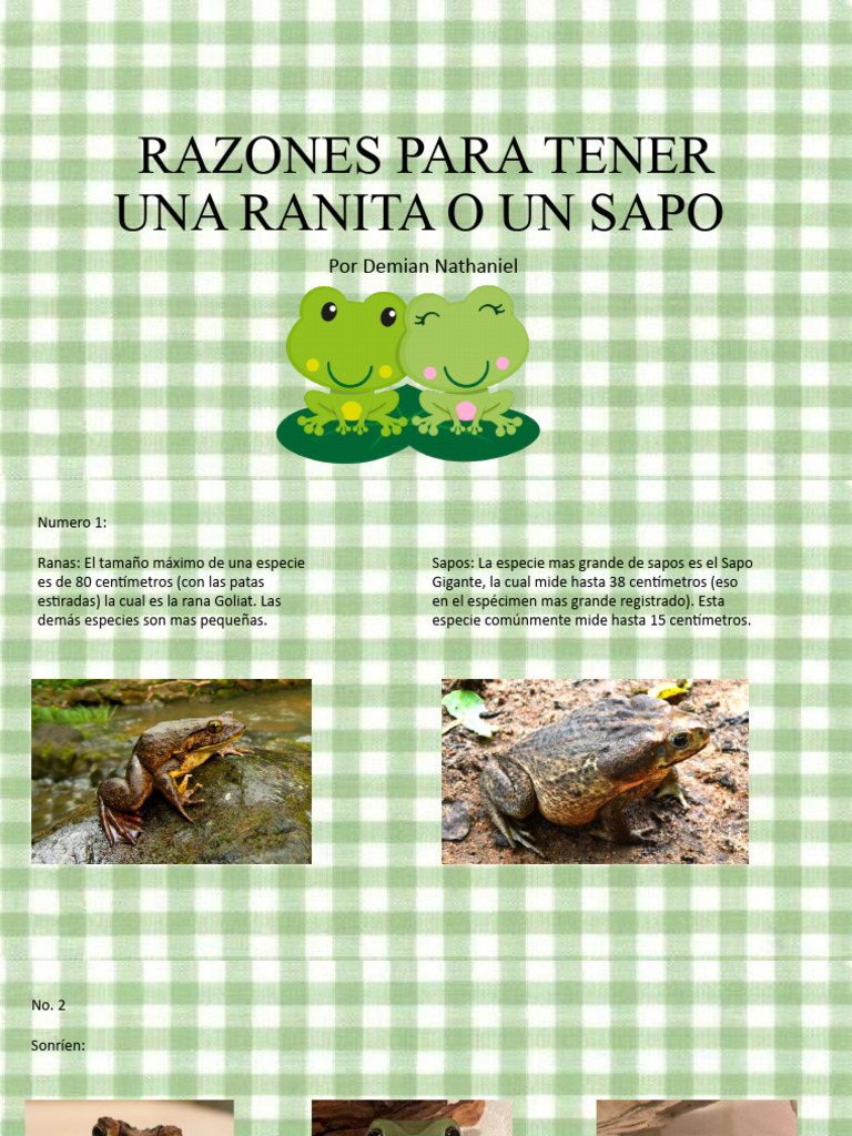 Razones para Tener Ranas o Sapos | PDF | Hogar, jardinería y bricolaje