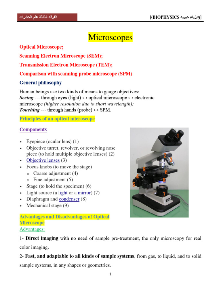 المحاضرة الخامسة microscope | PDF | Scanning Electron Microscope ...