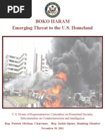 Boko Haram Report