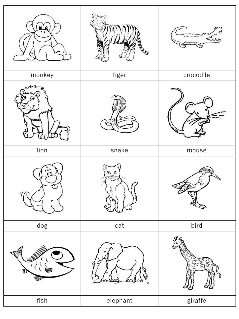5 animal cards PDF
